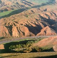 Early summer in a mountainous region
